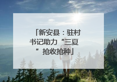 新安县：驻村书记助力“三夏”抢收抢种