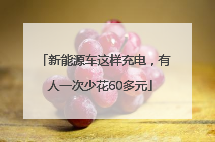 新能源车这样充电，有人一次少花60多元