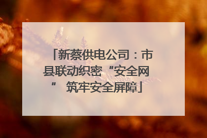 新蔡供电公司：市县联动织密“安全网” 筑牢安全屏障