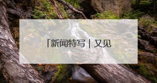 新闻特写｜又见老白：“双考”连轴转，交警“护考档”密集开启