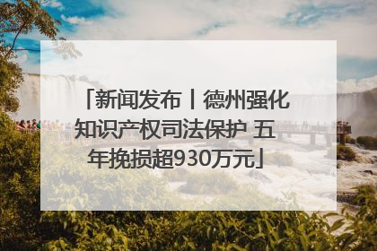 新闻发布丨德州强化知识产权司法保护 五年挽损超930万元