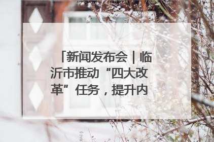 新闻发布会｜临沂市推动“四大改革”任务，提升内部审计监督效能