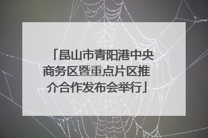昆山市青阳港中央商务区暨重点片区推介合作发布会举行