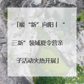 暖“新”向阳丨“三新”领域夏令营亲子活动火热开展