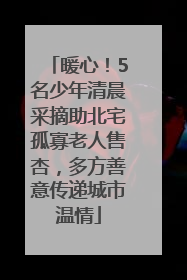 暖心！5名少年清晨采摘助北宅孤寡老人售杏，多方善意传递城市温情