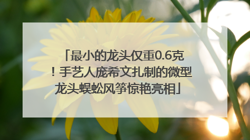 最小的龙头仅重0.6克！手艺人庞希文扎制的微型龙头蜈蚣风筝惊艳亮相