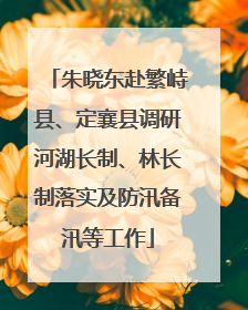朱晓东赴繁峙县、定襄县调研河湖长制、林长制落实及防汛备汛等工作