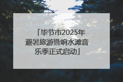 毕节市2025年避暑旅游暨响水滩音乐季正式启动