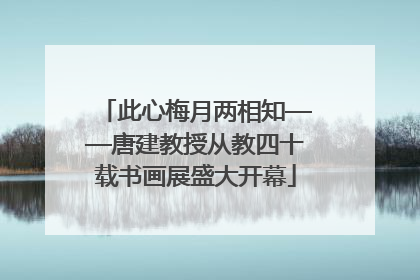 此心梅月两相知——唐建教授从教四十载书画展盛大开幕