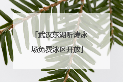 武汉东湖听涛泳场免费泳区开放