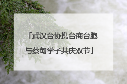 武汉台协携台商台胞与蔡甸学子共庆双节