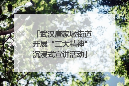 武汉唐家墩街道开展“三大精神”沉浸式宣讲活动