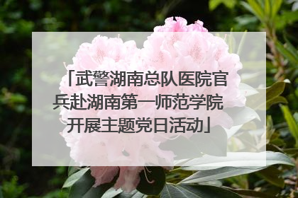 武警湖南总队医院官兵赴湖南第一师范学院开展主题党日活动