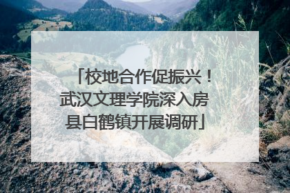 校地合作促振兴！武汉文理学院深入房县白鹤镇开展调研
