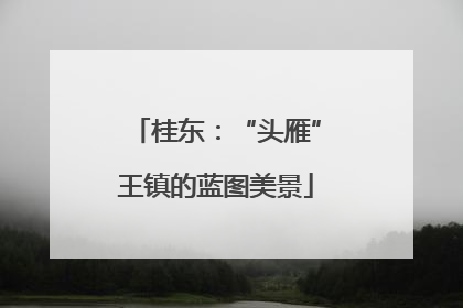 桂东：“头雁”王镇的蓝图美景