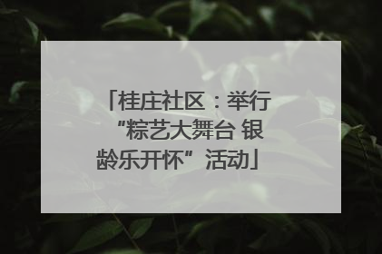 桂庄社区：举行“粽艺大舞台 银龄乐开怀”活动