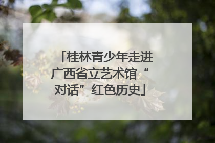 桂林青少年走进广西省立艺术馆“对话”红色历史