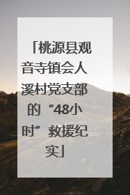 桃源县观音寺镇会人溪村党支部的“48小时”救援纪实