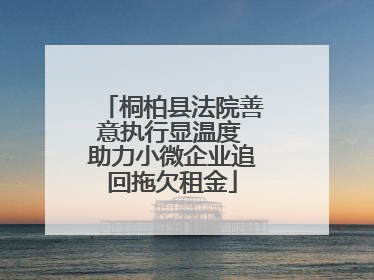 桐柏县法院善意执行显温度 助力小微企业追回拖欠租金