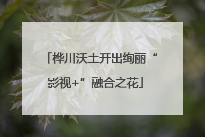 桦川沃土开出绚丽“影视+”融合之花