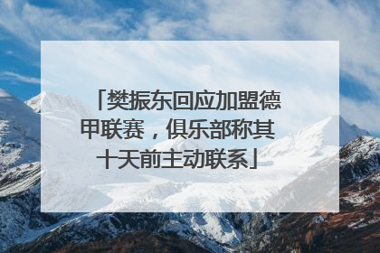 樊振东回应加盟德甲联赛，俱乐部称其十天前主动联系