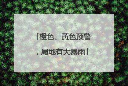 橙色、黄色预警，局地有大暴雨