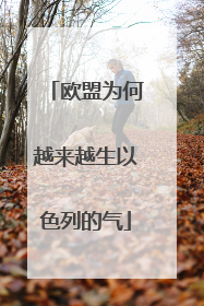 欧盟为何越来越生以色列的气