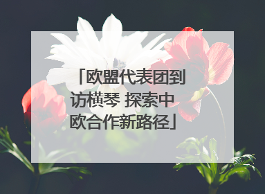 欧盟代表团到访横琴 探索中欧合作新路径