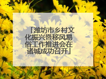 潍坊市乡村文化振兴暨移风易俗工作推进会在诸城成功召开