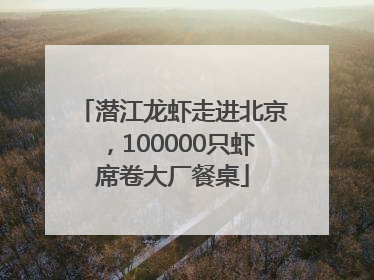潜江龙虾走进北京，100000只虾席卷大厂餐桌