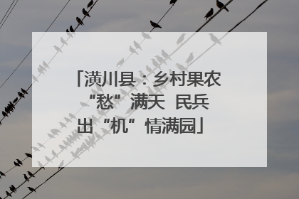 潢川县：乡村果农“愁”满天  民兵出“机”情满园