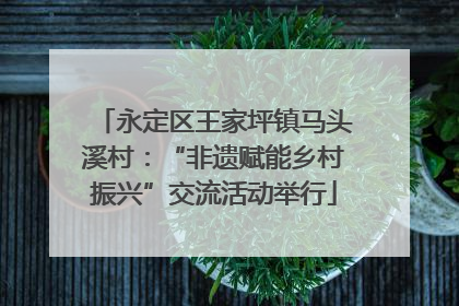 永定区王家坪镇马头溪村：“非遗赋能乡村振兴”交流活动举行