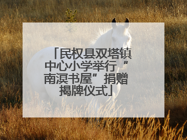 民权县双塔镇中心小学举行“南溟书屋”捐赠揭牌仪式