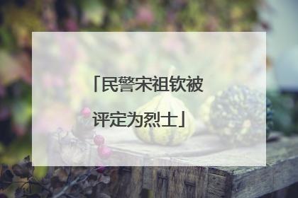 民警宋祖钦被评定为烈士