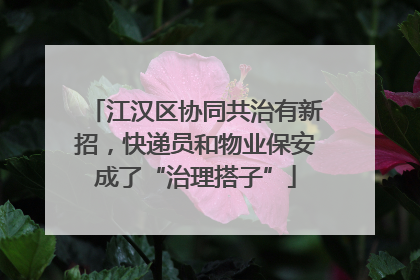 江汉区协同共治有新招，快递员和物业保安成了“治理搭子”