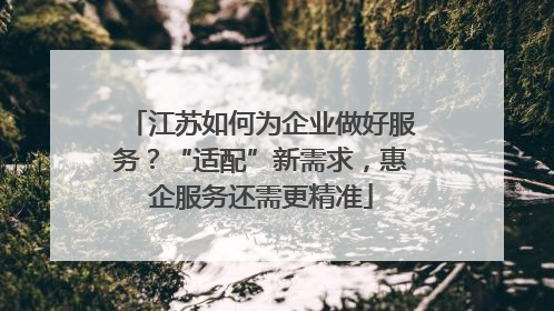 江苏如何为企业做好服务？“适配”新需求，惠企服务还需更精准