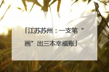 江苏苏州：一支笔“画”出三本幸福账