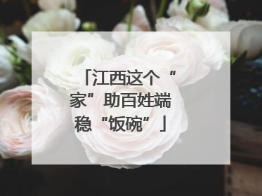江西这个“家”助百姓端稳“饭碗”
