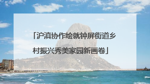 沪滇协作绘就钟屏街道乡村振兴秀美家园新画卷