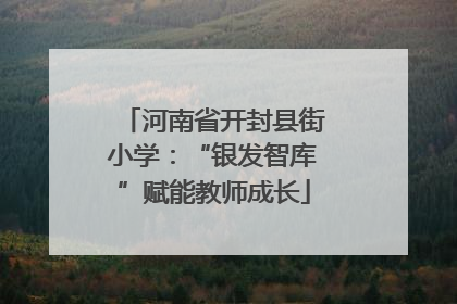 河南省开封县街小学：“银发智库”赋能教师成长