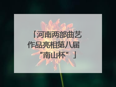 河南两部曲艺作品亮相第八届“南山杯”