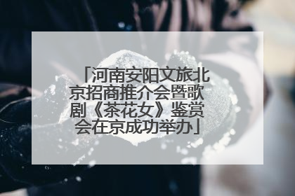 河南安阳文旅北京招商推介会暨歌剧《茶花女》鉴赏会在京成功举办