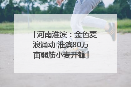 河南淮滨：金色麦浪涌动 淮滨80万亩弱筋小麦开镰