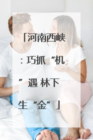 河南西峡：巧抓“机”遇 林下生“金”