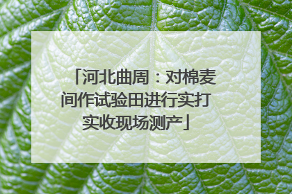 河北曲周：对棉麦间作试验田进行实打实收现场测产
