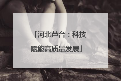 河北芦台：科技赋能高质量发展