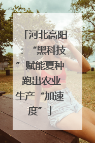 河北高阳：“黑科技”赋能夏种 跑出农业生产“加速度”