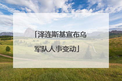 泽连斯基宣布乌军队人事变动
