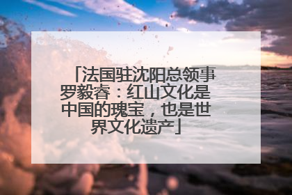 法国驻沈阳总领事罗毅睿：红山文化是中国的瑰宝，也是世界文化遗产