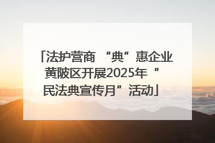 法护营商 “典”惠企业 黄陂区开展2025年“民法典宣传月”活动